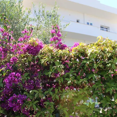 Seli's Ksamil